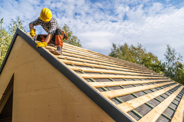 Best Storm Damage Roof Repair  in Lo, HI