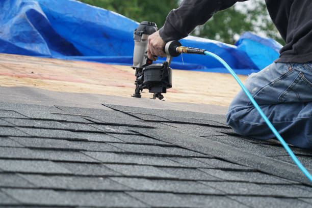 Residential Roof Replacement in Hilo, HI