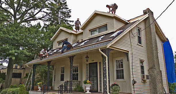 Best Flat Roof Repair Services  in Lo, HI
